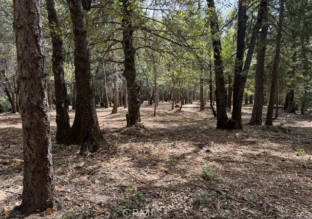 1st image of 0 Platt Mountain Rd, Forest Ranch, CA 95942 | MLS# SN26115685