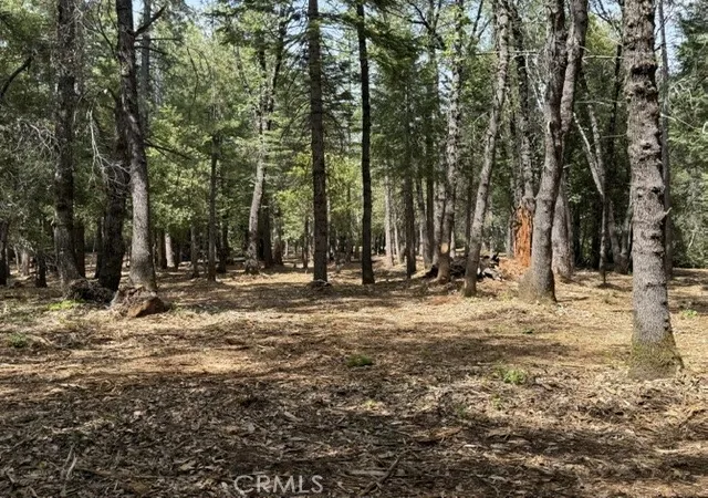 2nd image of 0 Platt Mountain Rd, Forest Ranch, CA 95942 | MLS# SN26115685