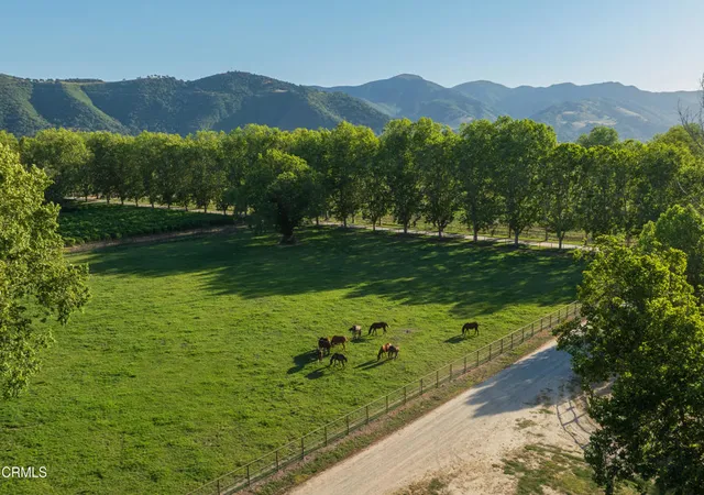 Photo 3 of Single family home for sale at 801 E Highway 246, Solvang, CA 93463 | MLS# V1-36659 | Listing updated on 2026-09-08