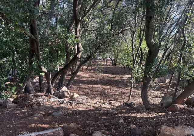 3rd image of 3470 Shoreline View Wy, Kelseyville, CA 95451 | MLS# LC26116397