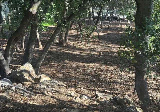 4th image of 3470 Shoreline View Wy, Kelseyville, CA 95451 | MLS# LC26116397