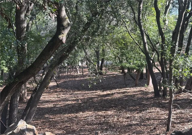 5th image of 3470 Shoreline View Wy, Kelseyville, CA 95451 | MLS# LC26116397