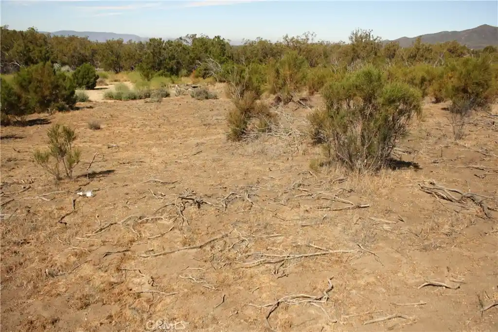 Land for sale at 0 Pony Trl, Anza, CA 92539 | MLS# SW26116649