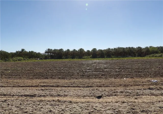 18th image of 59800 Pierce St, Thermal, CA 92274 | MLS# SW26117273
