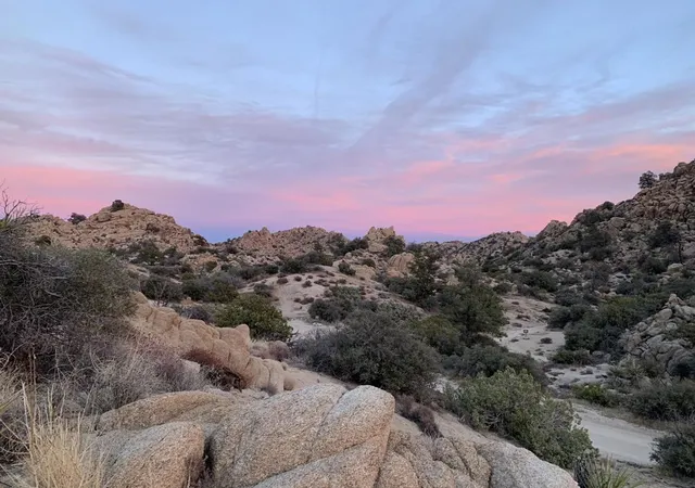 2nd image of 5850 Cactus Canyon Trl, Yucca Valley, CA 92284 | MLS# 219148534DA
