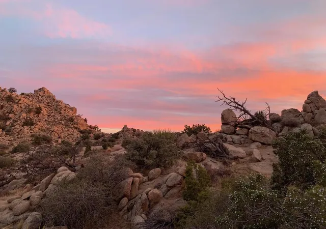 3rd image of 5850 Cactus Canyon Trl, Yucca Valley, CA 92284 | MLS# 219148534DA