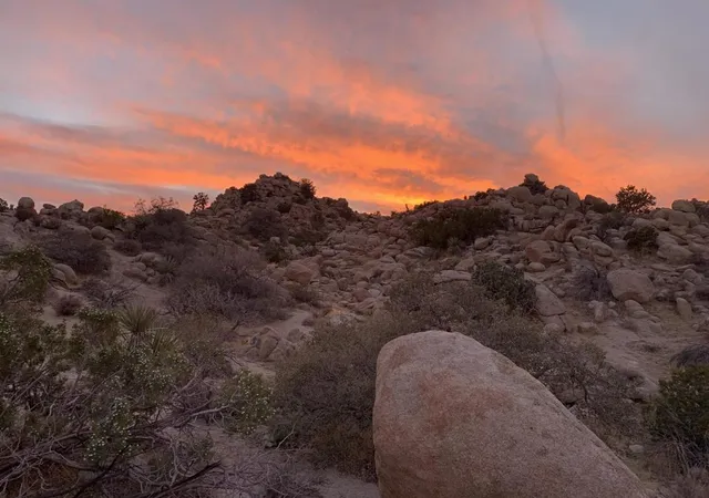 4th image of 5850 Cactus Canyon Trl, Yucca Valley, CA 92284 | MLS# 219148534DA