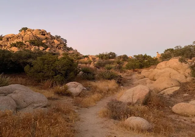 5th image of 5850 Cactus Canyon Trl, Yucca Valley, CA 92284 | MLS# 219148534DA