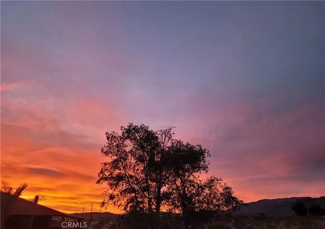 10th image of 73289 Twentynine Palms, 29 Palms, CA 92277 | MLS# JT26117580