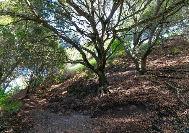 Photo 1 of Land for sale at 20 Lucille Way, Orinda, CA 94563 | MLS# 41136662 | Listing updated on 2026-06-06