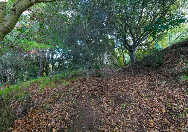 Photo 3 of Land for sale at 20 Lucille Way, Orinda, CA 94563 | MLS# 41136662 | Listing updated on 2026-06-06