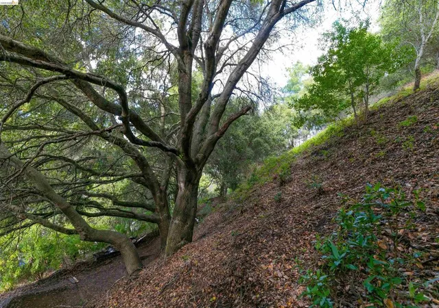 Photo 3 of Land for sale at 20 Lucille Way, Orinda, CA 94563 | MLS# 41136662 | Listing updated on 2026-06-06
