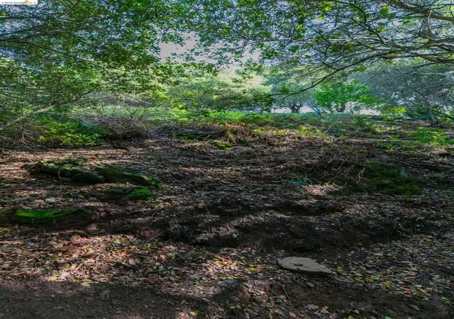 Photo 4 of Land for sale at 20 Lucille Way, Orinda, CA 94563 | MLS# 41136662 | Listing updated on 2026-06-06