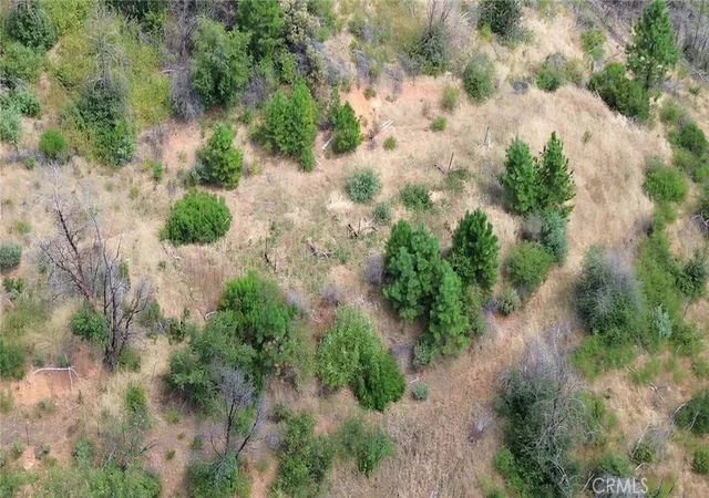 Homes for sale in Berry Creek, CA | 0 Feather Ridge Wy, Berry Creek, CA 95916 | MLS# OR26117142