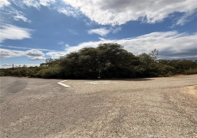 1st image of 10357 Tulipan, Coulterville, CA 95311 | MLS# MC26119702