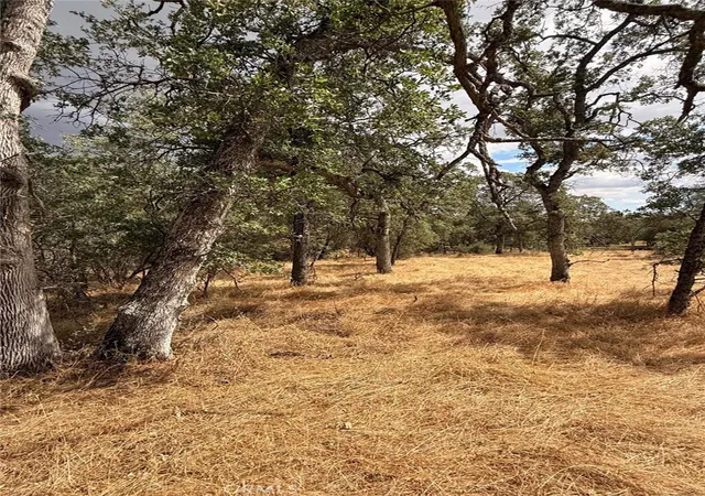 2nd image of 10357 Tulipan, Coulterville, CA 95311 | MLS# MC26119702