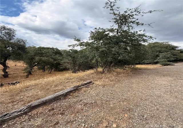 3rd image of 10357 Tulipan, Coulterville, CA 95311 | MLS# MC26119702