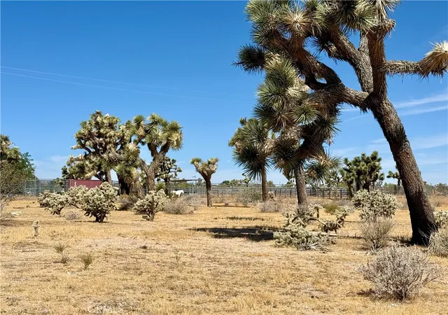 5th image of 0 Sun Mesa, Yucca Valley, CA 92284 | MLS# JT26119764