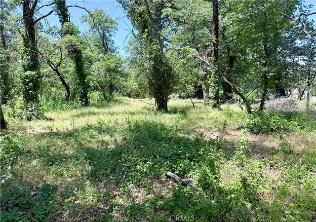 Photo 3 of Land for sale at 1343 Shady Ln, Lakeport, CA 95453 | MLS# LC26117027 | Listing updated on 2026-06-11