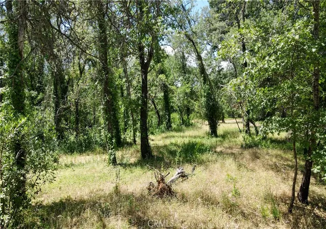 Photo 4 of Land for sale at 1343 Shady Ln, Lakeport, CA 95453 | MLS# LC26117027 | Listing updated on 2026-06-11