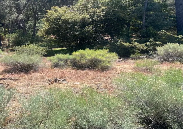 1st image of 13708 Yellowstone, Frazier Park, CA 93225 | MLS# SR26120301