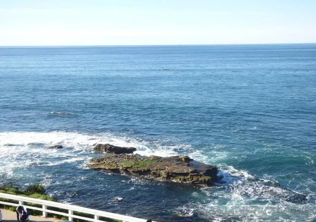 5th image of 939 Coast Blvd #6A, La Jolla, CA 92037 | MLS# 260013392SD
