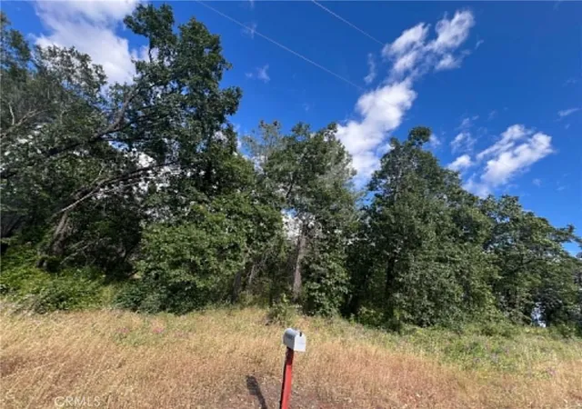 14th image of 0 Manton School Rd, Manton, CA 96059 | MLS# LC26120951