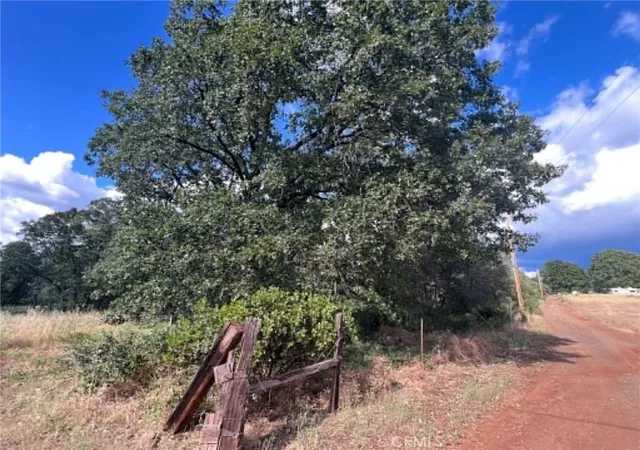 1st image of 0 Manton School Rd, Manton, CA 96059 | MLS# LC26120951