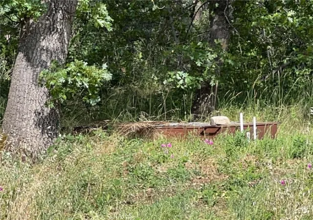 3rd image of 0 Manton School Rd, Manton, CA 96059 | MLS# LC26120951