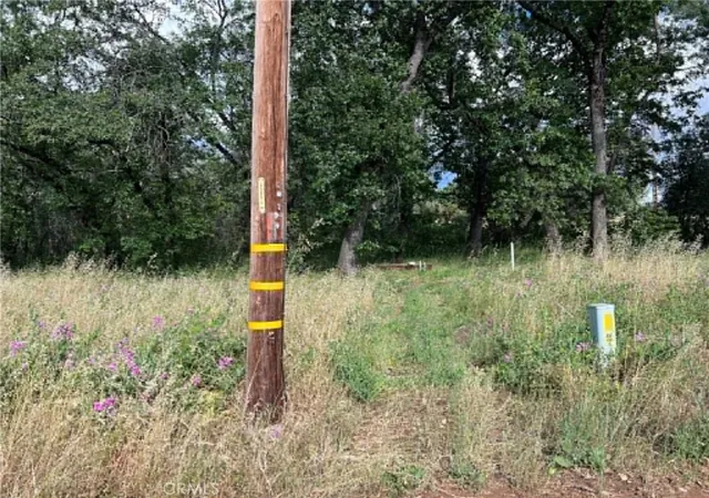 5th image of 0 Manton School Rd, Manton, CA 96059 | MLS# LC26120951