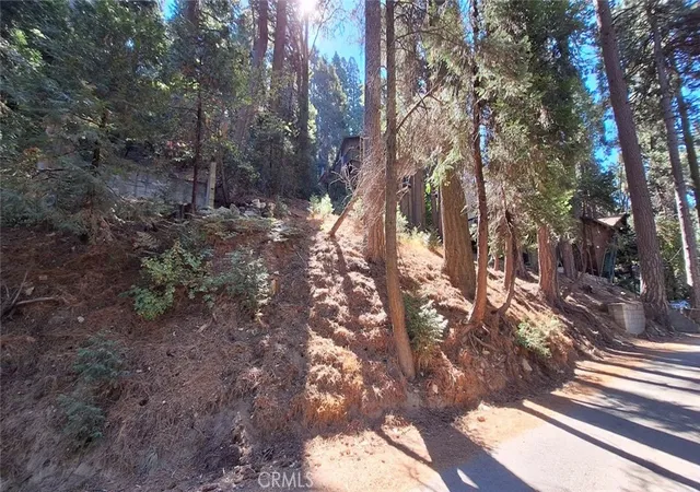 Photo 3 of Land for sale at 0 Sunderland, Lake Arrowhead, CA 92352 | MLS# IV26119968 | Listing updated on 2026-06-03