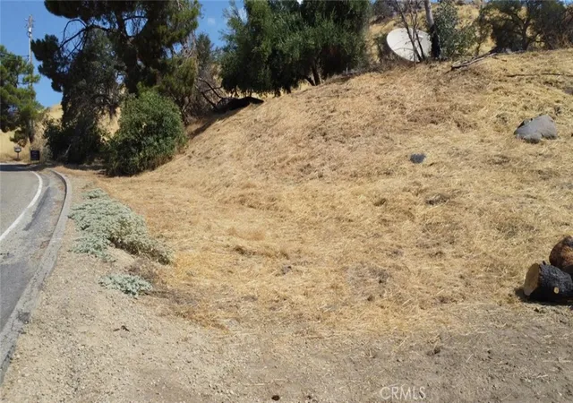 4th image of 38938 Pepperweed Rd, Squaw Valley, CA 93675 | MLS# FR26121376