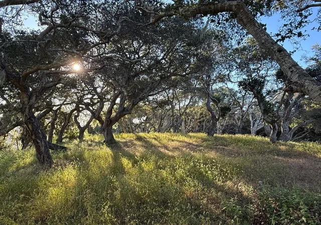 16th image of 6 Rancho San Carlos (lot E10) Rd, Carmel, CA 93923 | MLS# ML82049746