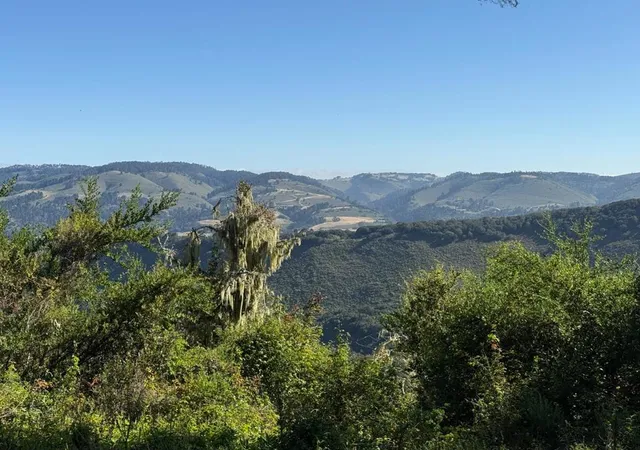 1st image of 6 Rancho San Carlos (lot E10) Rd, Carmel, CA 93923 | MLS# ML82049746