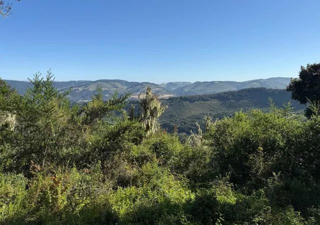 2nd image of 6 Rancho San Carlos (lot E10) Rd, Carmel, CA 93923 | MLS# ML82049746