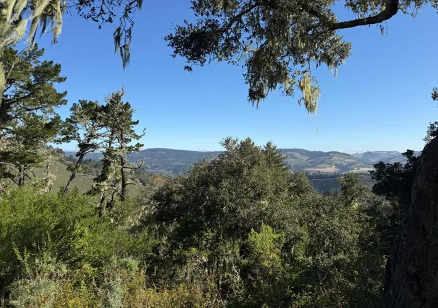 3rd image of 6 Rancho San Carlos (Lot E10) Rd, Carmel, CA 93923 | MLS# ML82049746