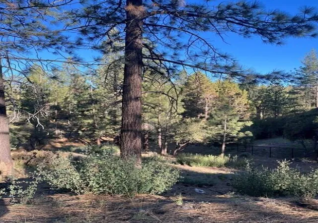 Photo 1 of Land for sale at 545 Division Dr, Big Bear, CA 92314 | MLS# 219148806PS | Listing updated on 2026-06-05