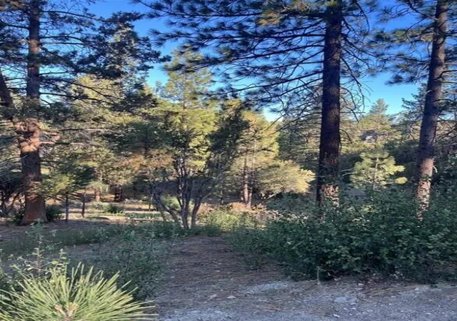 Photo 2 of Land for sale at 545 Division Dr, Big Bear, CA 92314 | MLS# 219148806PS | Listing updated on 2026-06-05