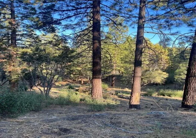 Photo 3 of Land for sale at 545 Division Dr, Big Bear, CA 92314 | MLS# 219148806PS | Listing updated on 2026-06-05