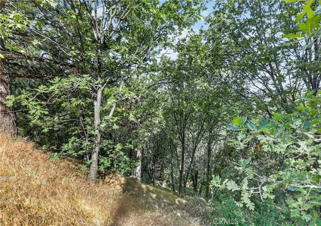 19th image of 30308 Leprechaun, Running Springs, CA 92382 | MLS# IG26119730