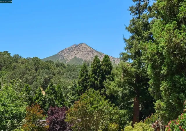 39th image of 220 Tumbleweed Ct, Clayton, CA 94517 | MLS# 41137311