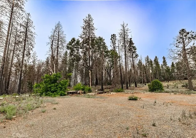 3rd image of 9627 Cohasset, Chico, CA 95973 | MLS# SN26121671