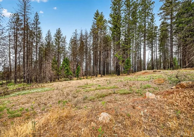 5th image of 9627 Cohasset, Chico, CA 95973 | MLS# SN26121671