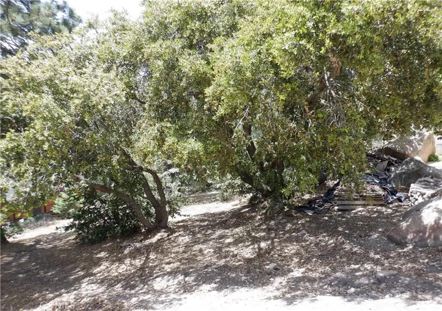 Photo 3 of Land for sale at 0 Holcomb Crk, Green Valley Lake, CA 92341 | MLS# IV26122871 | Listing updated on 2026-06-05