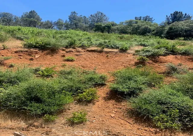 2nd image of 3150 Skyline, Kelseyville, CA 95451 | MLS# LC26123814