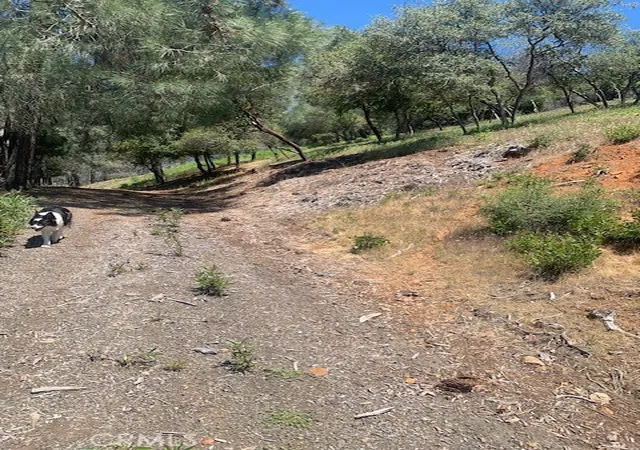 4th image of 3150 Skyline, Kelseyville, CA 95451 | MLS# LC26123814