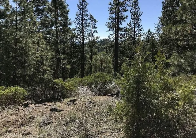 1st image of 0 Falcon Road, California Pines, CA 96101 | MLS# ND26123862