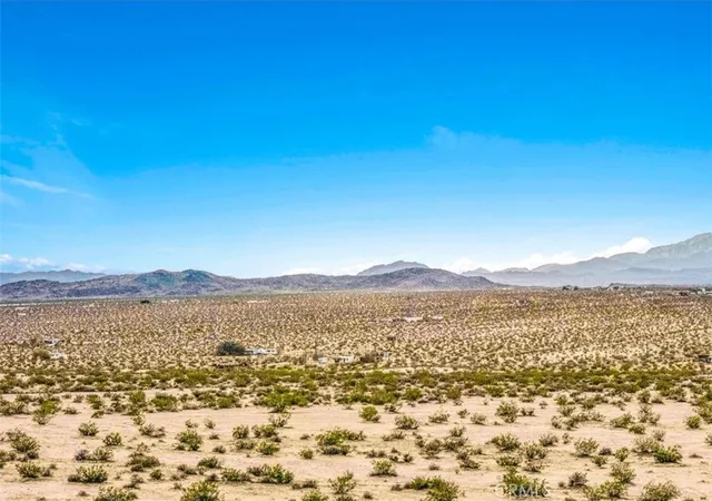 41st image of 67550 Del Oro Rd, Twentynine Palms, CA 92277 | MLS# JT26124175