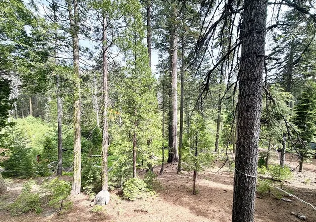 27th image of 9502 Humboldt Rd, Forest Ranch, CA 95942 | MLS# SN26124185