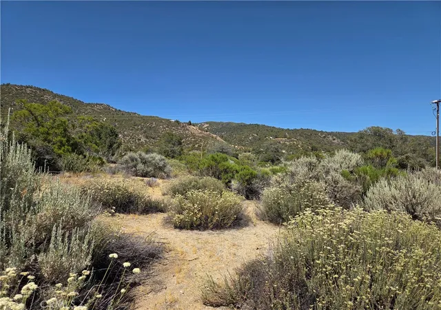 5th image of 37310 Bohlen, Anza, CA 92539 | MLS# SW26111874